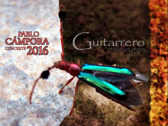 Pablo Cámpora “Guitarrero 2016” - Konzert am 04.10.2016 im Musikstusio Ohrpheo